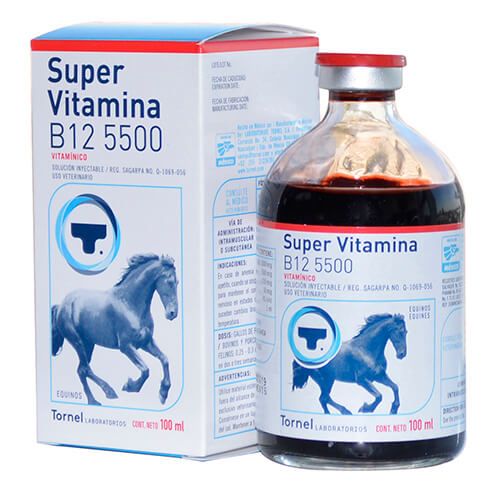 Vitamina B